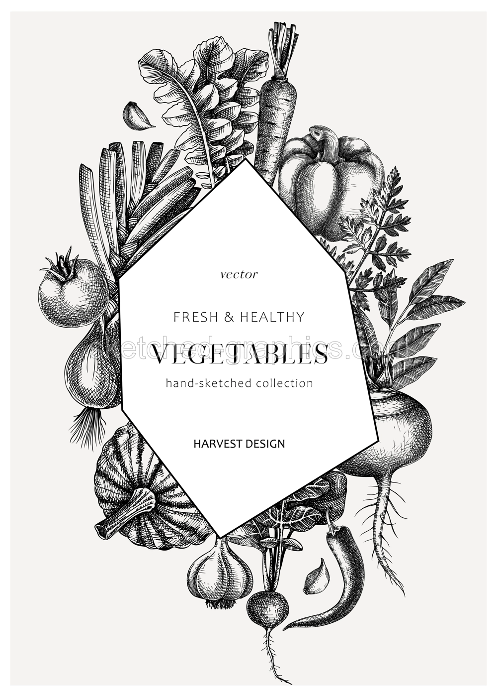 Hand-sketched vegetable abstract wreath. Hand-drawn tomatoes, squashes, peppers, potatoes, asparagus, and other vegetables design. Healthy food frame template for menu, recipe, packaging design Illustration